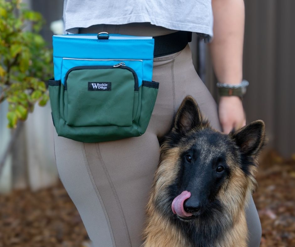5 Best Dog Training Treat Pouches for Fast Rewards in 2027