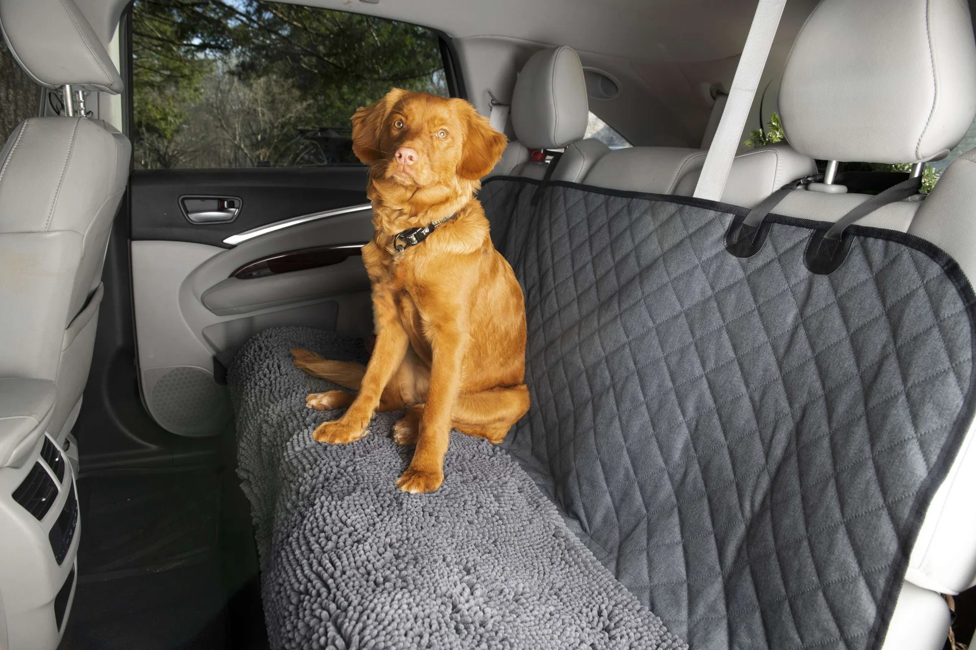 5 Best Dog Car Seat Covers for Cleaner Trips in 2027