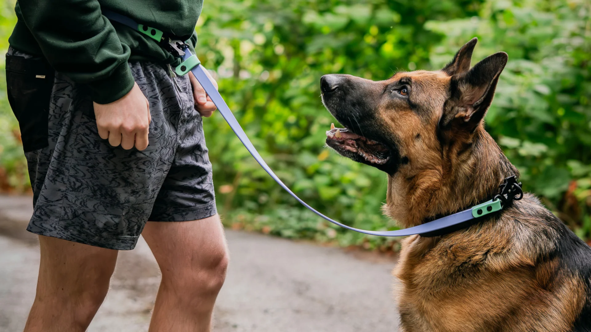 5 Best Hands-Free Dog Leashes for Walking and Running in 2027