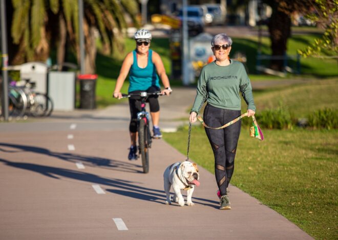 How Much Exercise Does a City Dog Need? A Practical Daily Guide