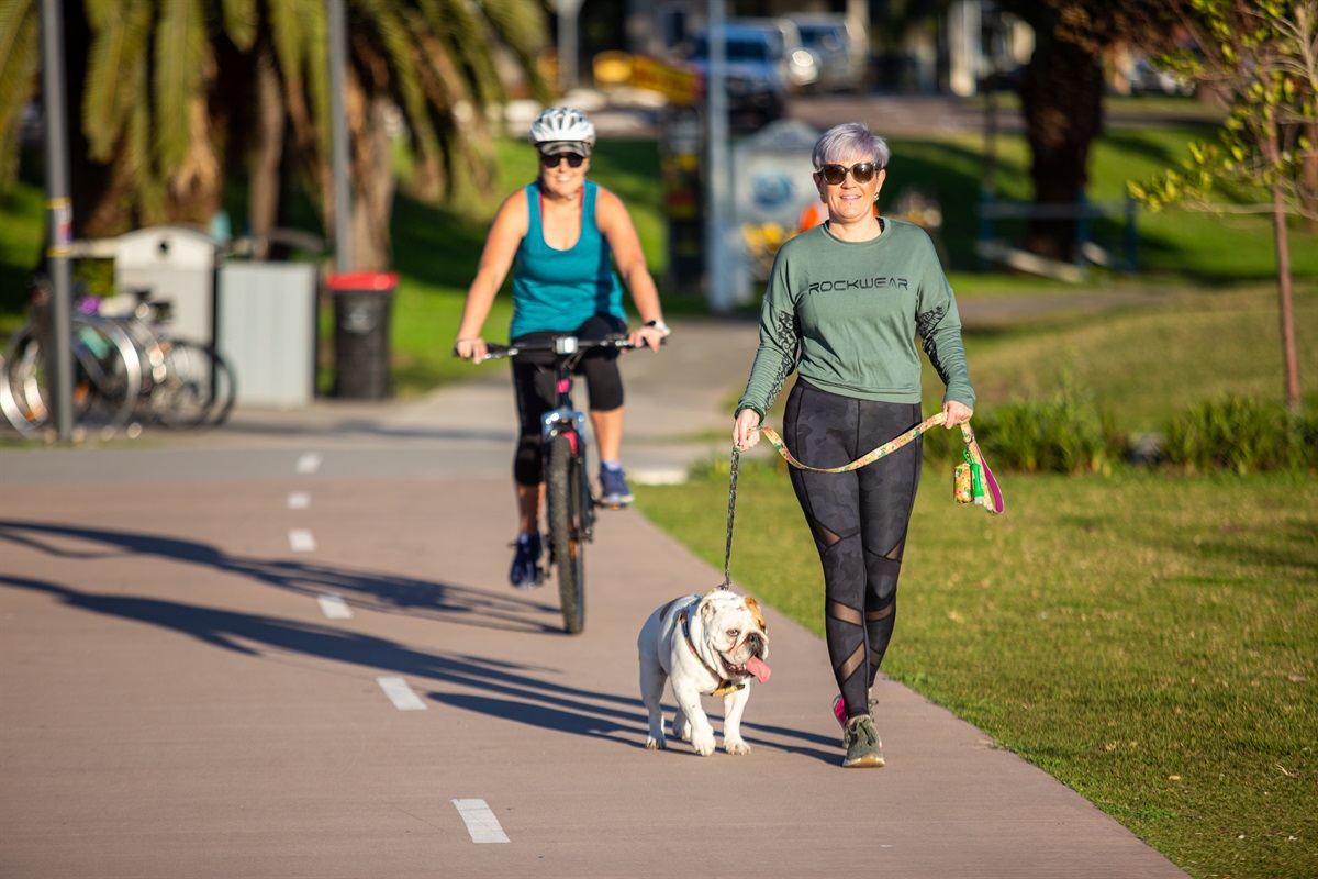 How Much Exercise Does a City Dog Need? A Practical Daily Guide